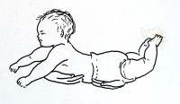 Reflex 2